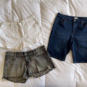 Bundle Sz 12 Shorts: Coldwater Creek, Just Jeans, Wild Fable